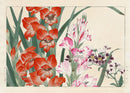 Konan Tanigami Western Flowers Schizanthus, Gladiolus - Panteek Antique Prints