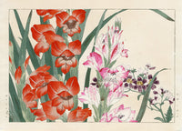 Konan Tanigami Western Flowers Schizanthus, Gladiolus - Panteek Antique Prints