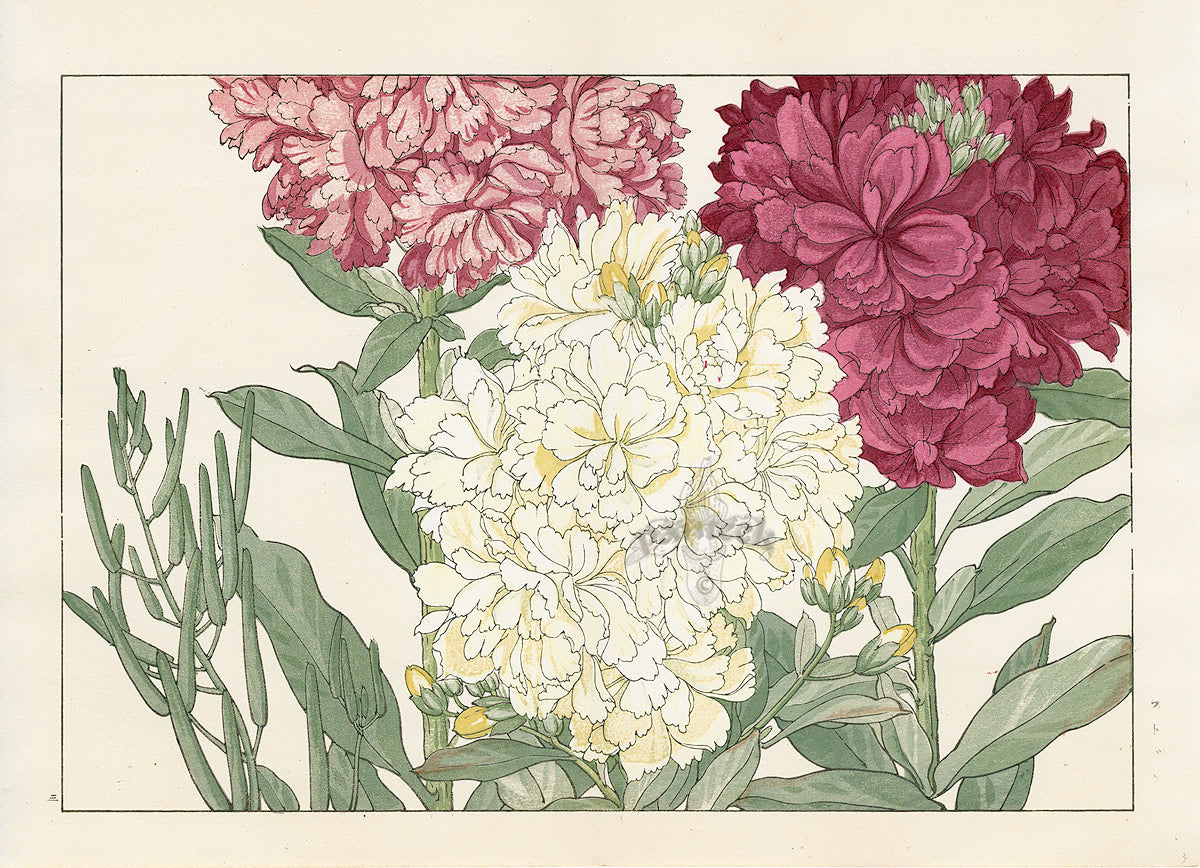 Konan Tanigami Western Flowers Stock