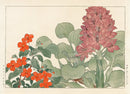 Konan Tanigami Western Flowers Water Hyacinth, Impatiens - Panteek Antique Prints