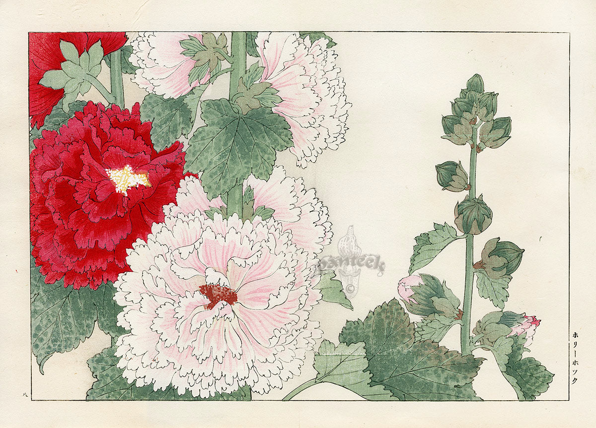 Konan Tanigami Western Flowers White, Red, Pink Hollyhock