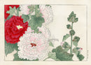 Konan Tanigami Western Flowers White, Red, Pink Hollyhock - Panteek Antique Prints
