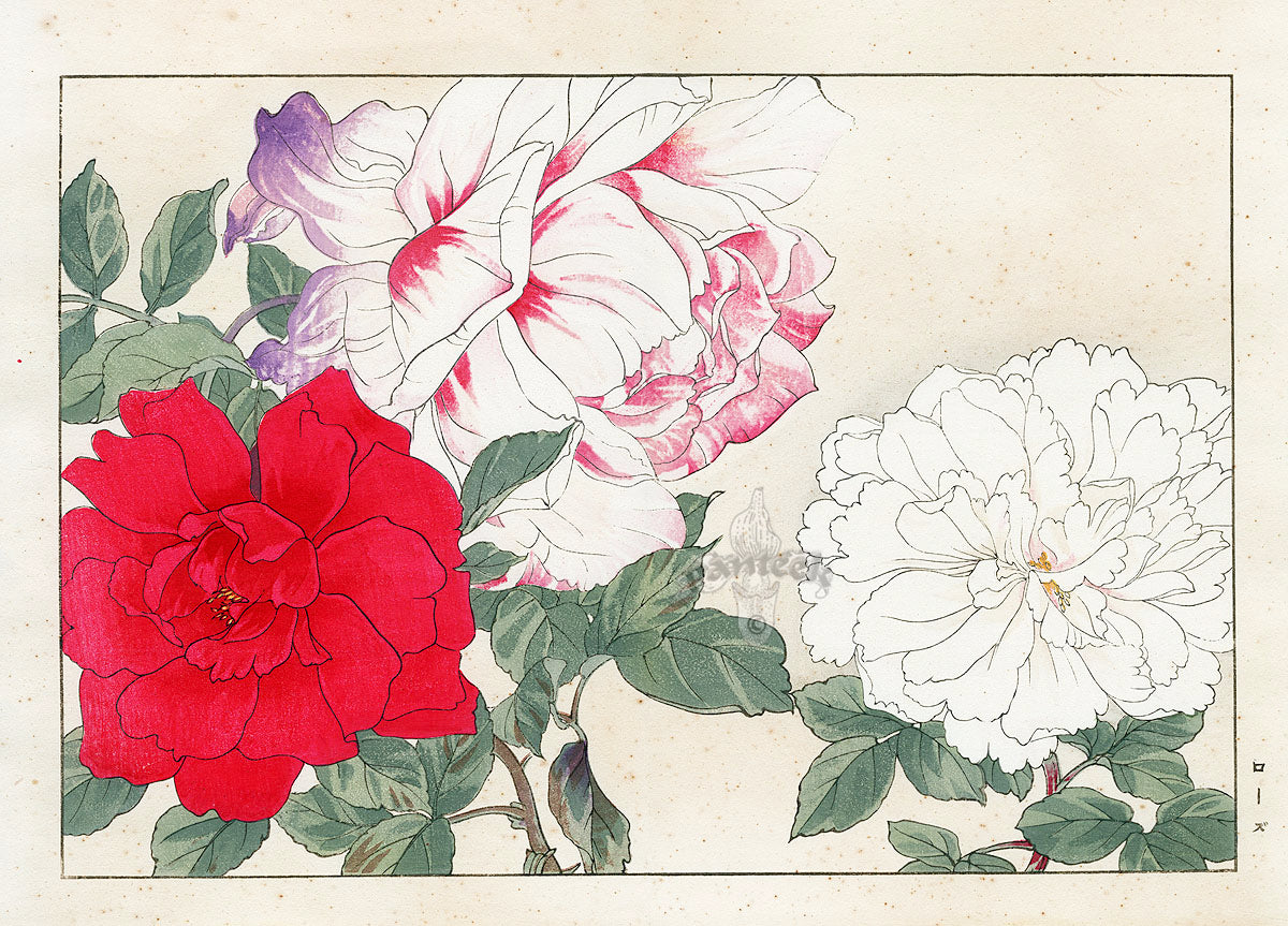 Konan Tanigami Western Flowers White, Red Rose