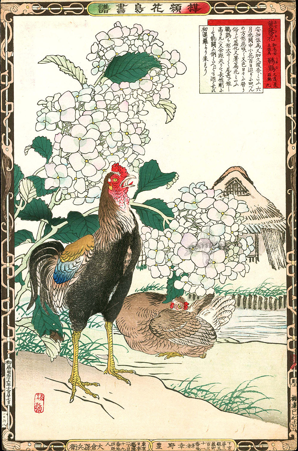 Kono Bairei Kacho Gafu 1st Edition Bird Shamo Rooster, Hydrangea