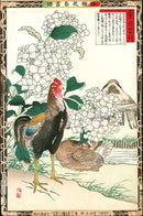 Kono Bairei Kacho Gafu 1st Edition Bird Shamo Rooster, Hydrangea - Panteek Antique Prints