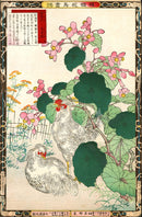 Kono Bairei Kacho Gafu 1st Edition Bird Silkie Chicken, Begonias - Panteek Antique Prints