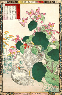 Kono Bairei Kacho Gafu 1st Edition Bird Silkie Chicken, Begonias - Panteek Antique Prints