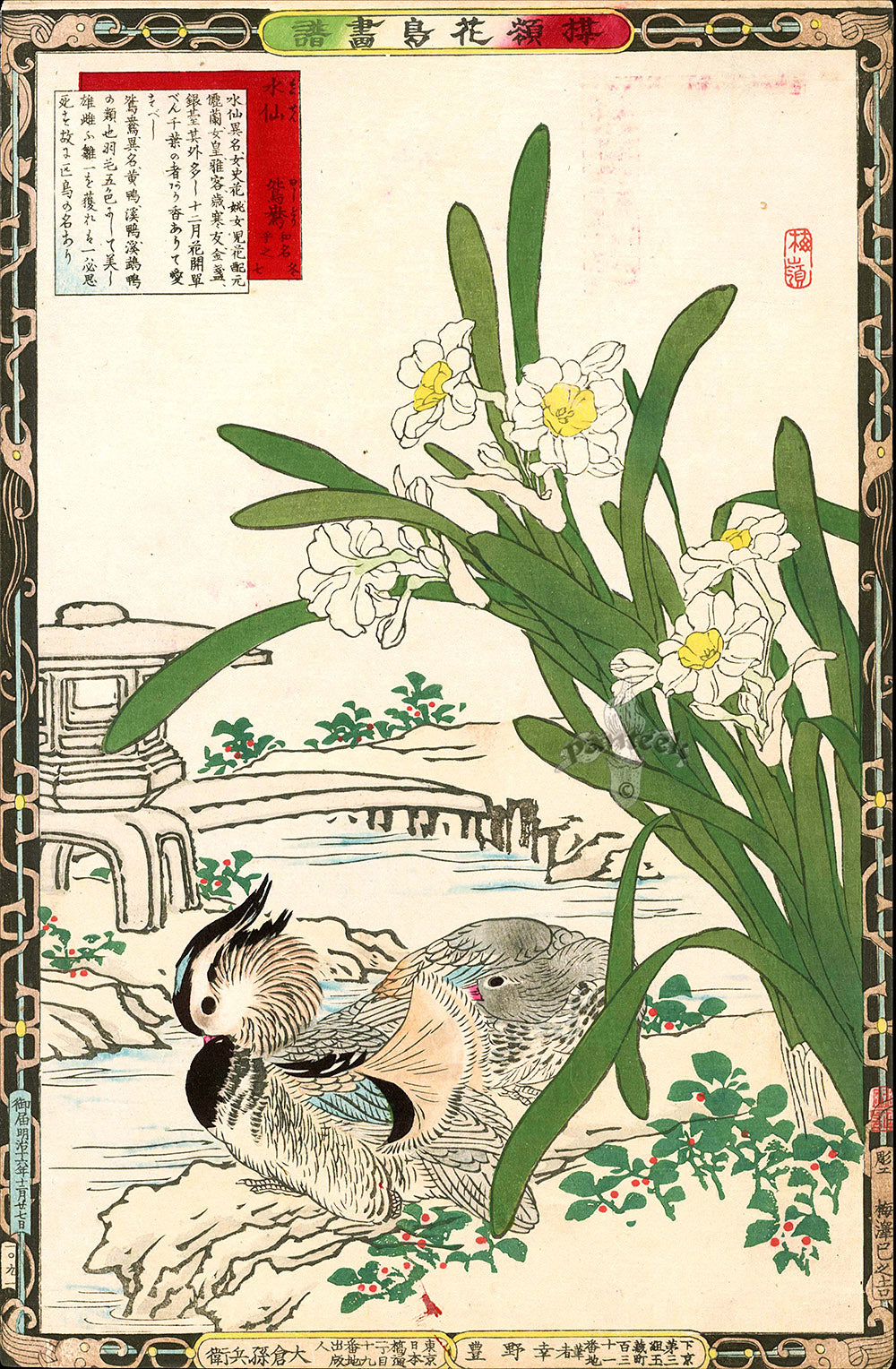 Kono Bairei Kacho Gafu 1st Edition, Daffodils and Mandarin Ducks