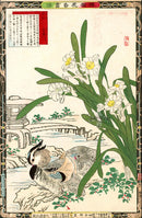 Kono Bairei Kacho Gafu 1st Edition, Daffodils and Mandarin Ducks - Panteek Antique Prints