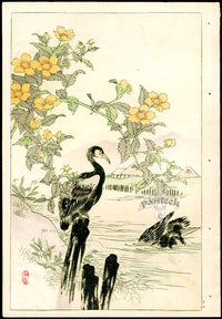 Kono Bairei Kacho Gafu Bird, Cormorant and Japanese Globe Flower - Panteek Antique Prints