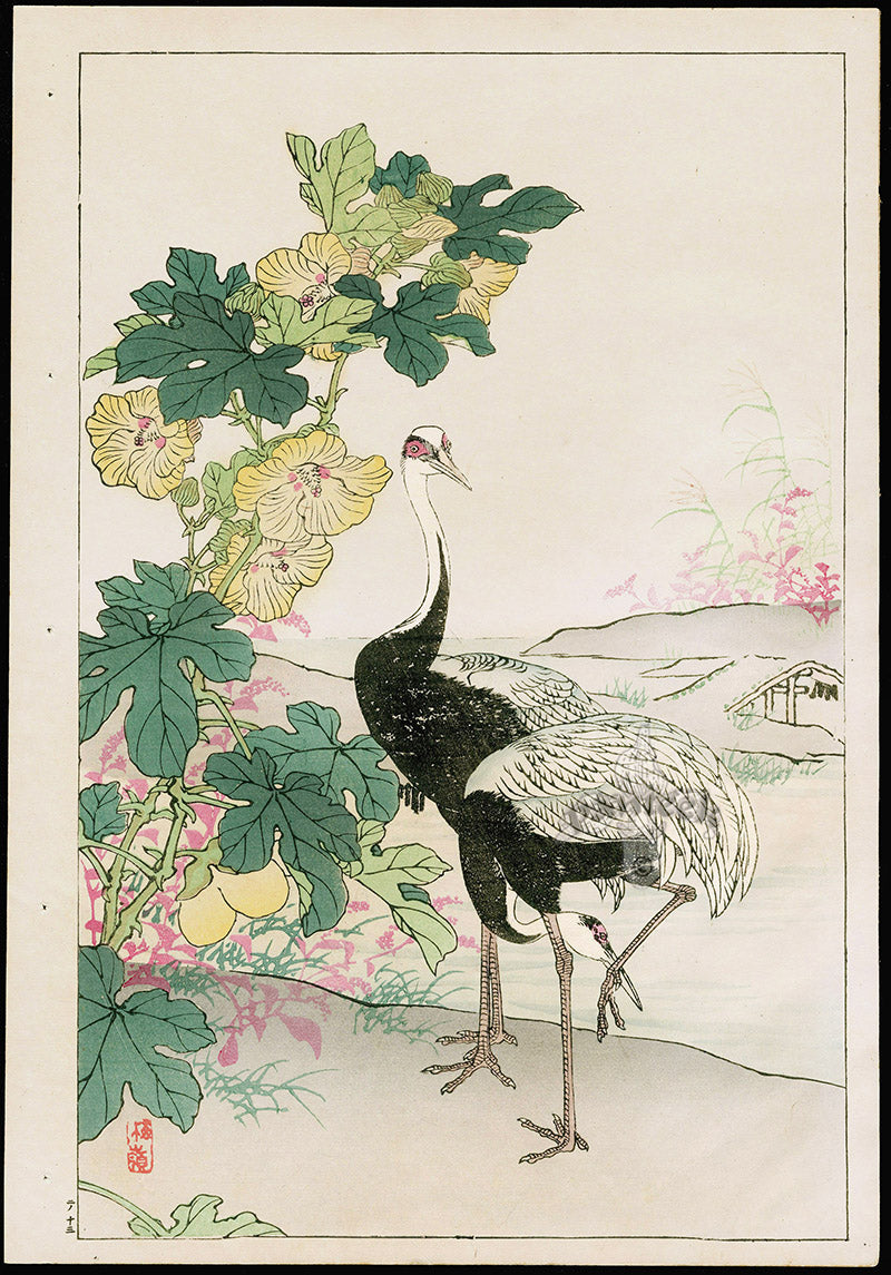 Kono Bairei Kacho Gafu, Bird Crane, Hibiscus