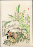 Kono Bairei Kacho Gafu Bird, Daffodils and Mandarin Ducks - Panteek Antique Prints
