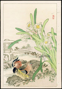 Kono Bairei Kacho Gafu Bird, Daffodils and Mandarin Ducks - Panteek Antique Prints