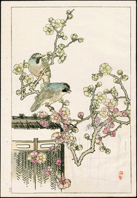 Kono Bairei Kacho Gafu Bird Eurasian Jays and Plum - Panteek Antique Prints