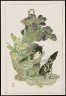 Kono Bairei Kacho Gafu Bird Flowering Kale and Eurasian Magpie - Panteek Antique Prints