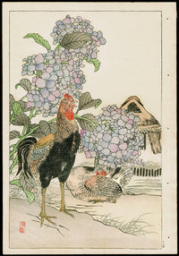 Kono Bairei Kacho Gafu Bird, Hydrangea, Shamo Rooster - Panteek Antique Prints