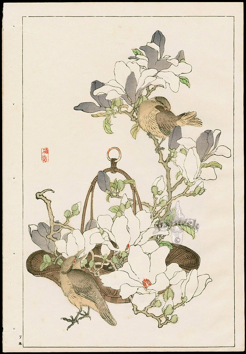 Kono Bairei Kacho Gafu Bird, Magnolias, Basket