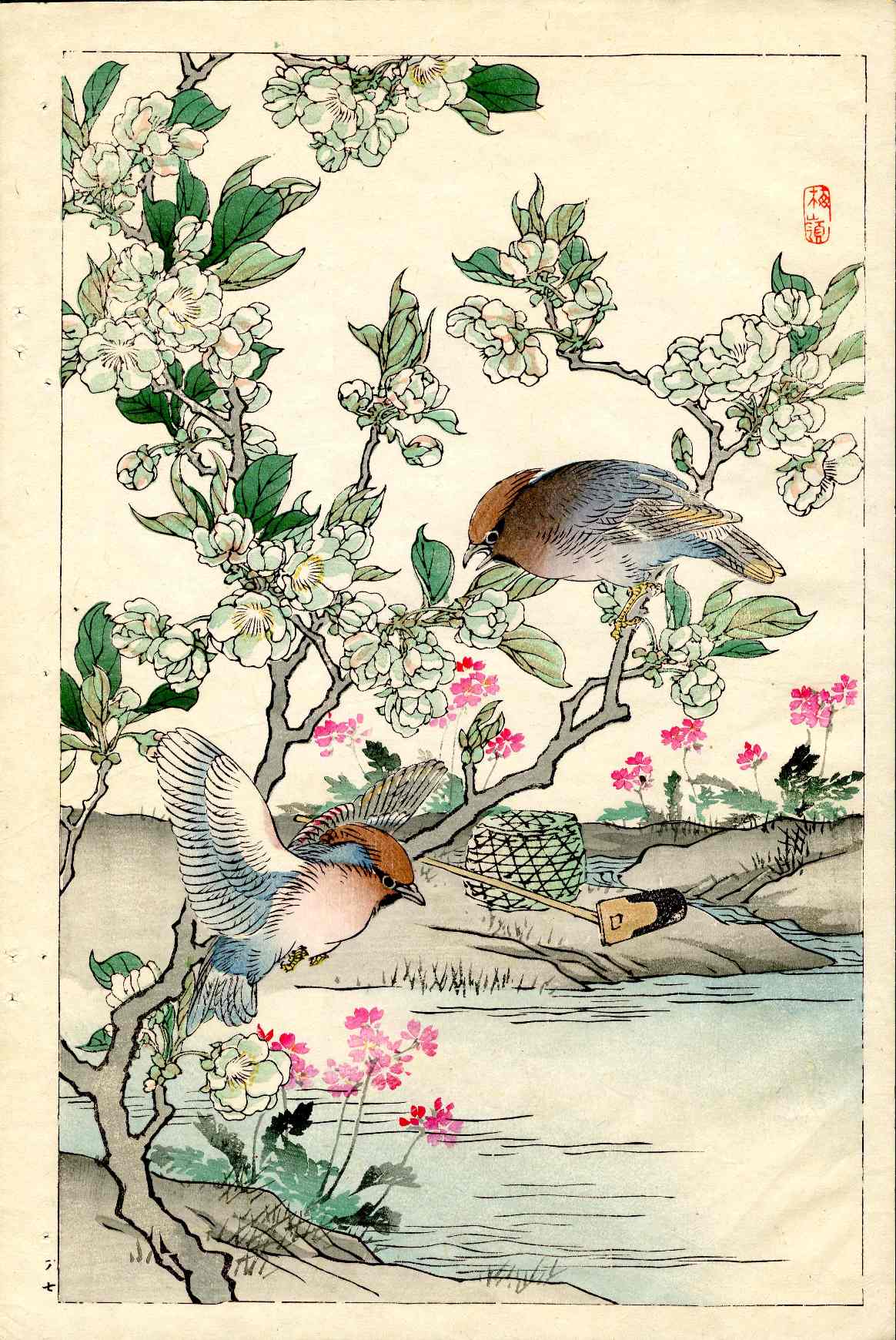 Kono Bairei Kacho Gafu Bird, Pear Blooms and Waxwing