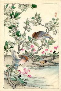 Kono Bairei Kacho Gafu Bird, Pear Blooms and Waxwing - Panteek Antique Prints