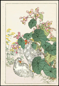 Kono Bairei Kacho Gafu Bird Silkie Chickens, Begonia - Panteek Antique Prints