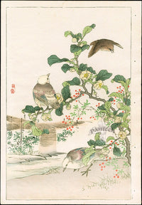 Kono Bairei Kacho Gafu, Crab Apple Blooms, Finch - Panteek Antique Prints