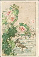 Kono Bairei Kacho Gafu, Hibiscus, Shore Bird - Panteek Antique Prints