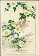 Kono Bairei Kacho Gafu, Moon, Dog Rose, Godwit - Panteek Antique Prints