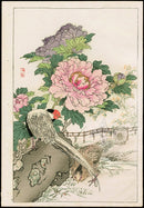 Kono Bairei Kacho Gafu, Pheasant Pink Peony - Panteek Antique Prints