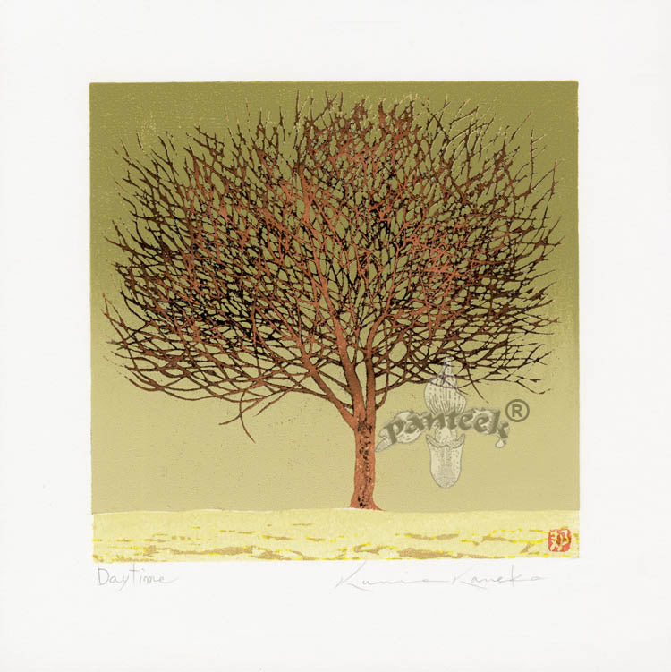 Kunio Kaneko Daytime