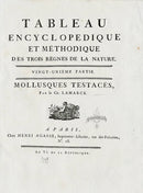 Lamarck Antique Title Page 3 1782 - Panteek Antique Prints