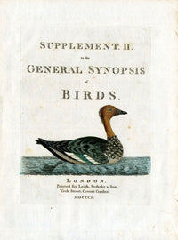 Latham Synopsis Birds 1781 Supplement 2 Duck - Panteek Antique Prints