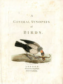 Latham Synopsis Birds 1781 Title Page Vol. 1 Vulture - Panteek Antique Prints