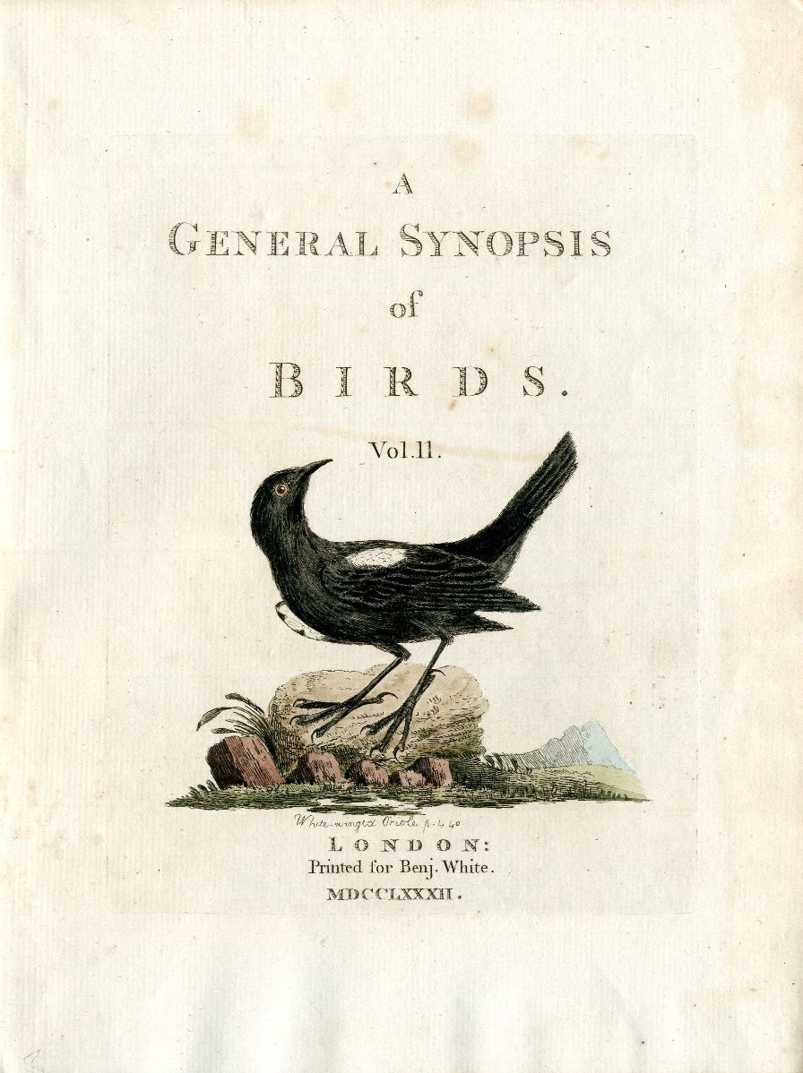 Latham Synopsis Birds 1781 Title Page Vol. 2 Oriole