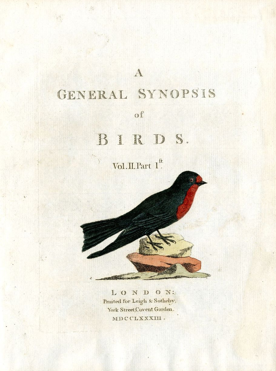 Latham Synopsis Birds 1781 Title Page Vol. 2 Pacific Swallow