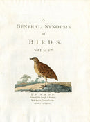 Latham Synopsis Birds 1781 Title Page Vol. 2 Partridge - Panteek Antique Prints