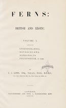 Lowe Antique Colored Fern Print Title Page - Panteek Antique Prints