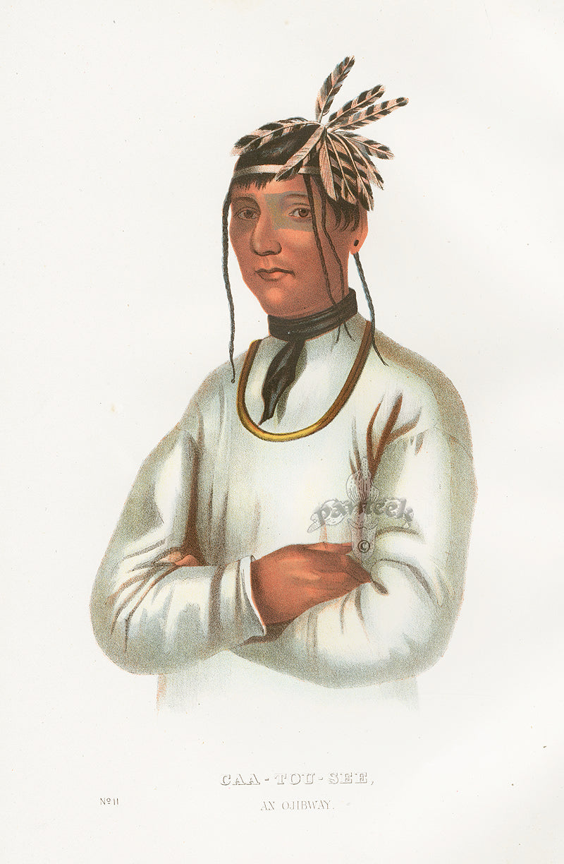 McKenney Hall North American Indian Antique Print Caa-Tou-See, Ojibway