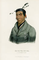 McKenney Hall North American Indian Antique Print Ka-Ta-Wa-Be-Da - Panteek Antique Prints