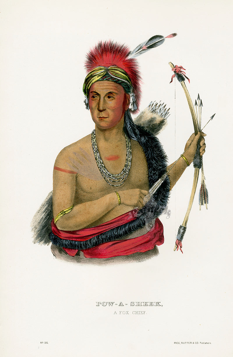 McKenney Hall North American Indian Antique Print Pow-A-Sheek