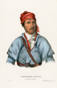 McKenney Hall North American Indian Antique Print Timpoochee - Panteek Antique Prints