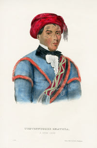 McKenney Hall North American Indian Antique Print Tustennuggee - Panteek Antique Prints