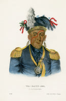 McKenney Hall North American Indian Antique Print Wa-Baun-See - Panteek Antique Prints