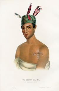 McKenney Hall North American Indian Antique Print Wa-Kaun-Ha-Ka - Panteek Antique Prints