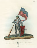 Meyrick Critical Inquiry into Antient Armour Arms & Standard, 1483 - Panteek Antique Prints