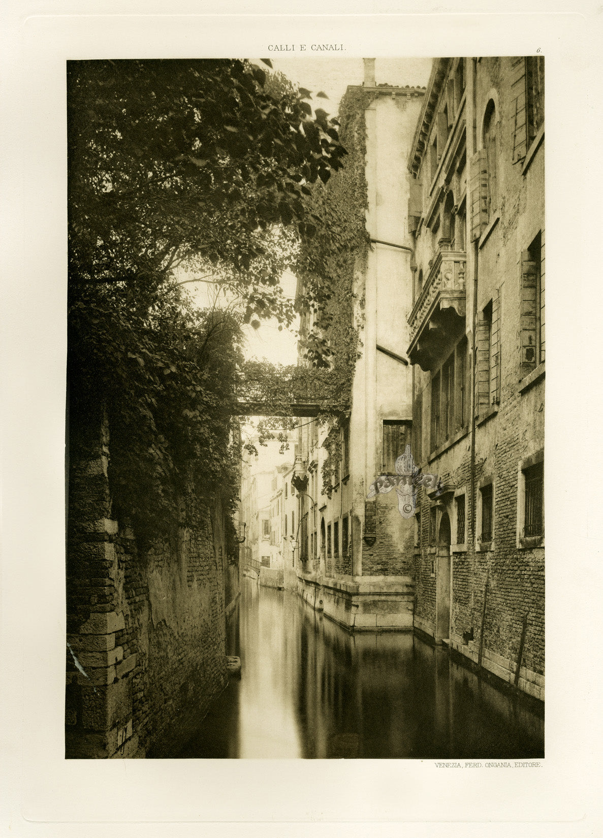 Ongania Architecture Venice Views 1891 Albrizzi Palace