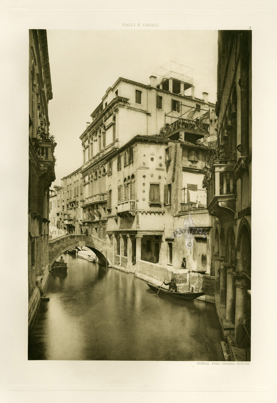 Ongania Architecture Venice Views 1891 Widman Palace