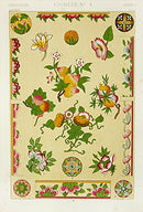 Owen Jones Grammar of Ornament Antique Print Chinese Fruits - Panteek Antique Prints