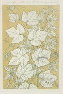 Owen Jones Grammar of Ornament Antique Print Leaves - Panteek Antique Prints