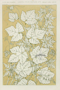 Owen Jones Grammar of Ornament Antique Print Leaves - Panteek Antique Prints