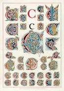 Owen Jones Initial Designs 1864 Print Letter C - Panteek Antique Prints